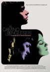 camino de los ingleses poster.jpg